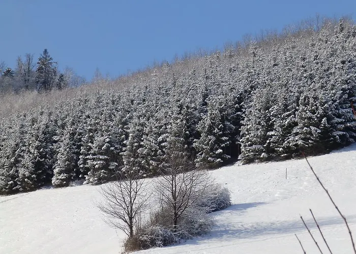 Holiday home Roubenka